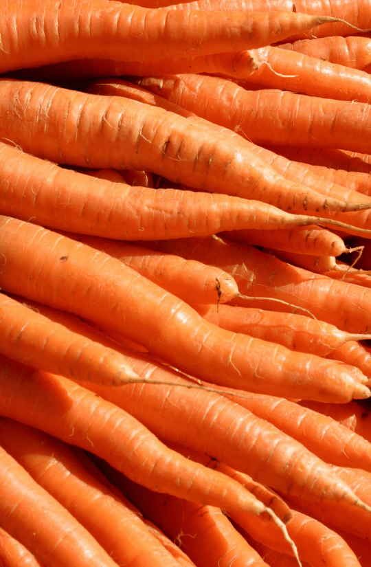 Heirloom Carrots
